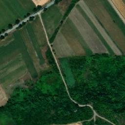 Satellite imagery of TT61, RO