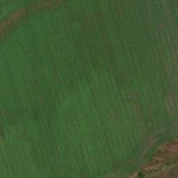 Satellite imagery of TT37, RO