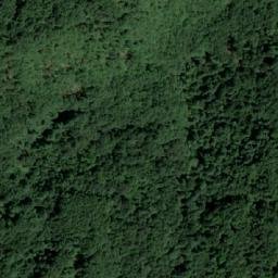 Satellite imagery of Batinačka Kosa, RS