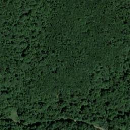 Satellite imagery of Grabovita Kosa, RS