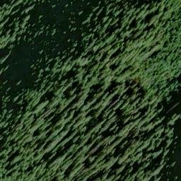 Satellite imagery of Roaring River Ridge, US