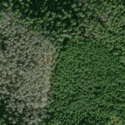 Satellite imagery of Alpine Ridge, US