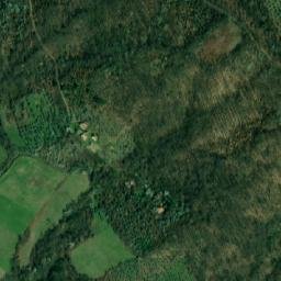 Satellite imagery of Mala Crnokosa, RS