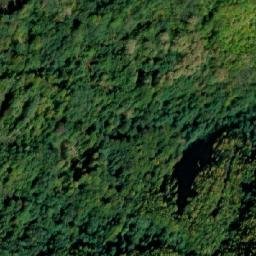 Satellite imagery of Mala Crnokosa, RS