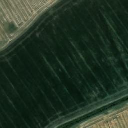 Satellite imagery of TT19, RO