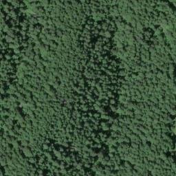 Satellite imagery of Timber Ridge, US