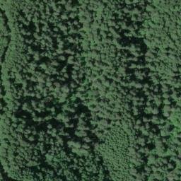 Satellite imagery of Timber Ridge, US