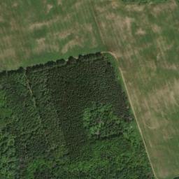 Satellite imagery of Crysler Point, CA