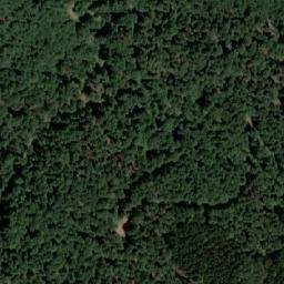 Satellite imagery of Mali Javorak, RS