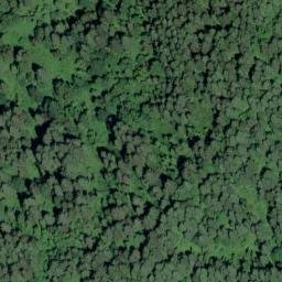 Satellite imagery of Fiddle Creek Ridge, US