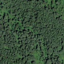 Satellite imagery of Fiddle Creek Ridge, US