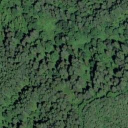 Satellite imagery of Fiddle Creek Ridge, US