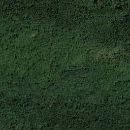 Satellite imagery of Mali Javorak, RS