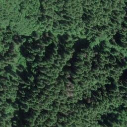 Satellite imagery of Smittie Ridge, US