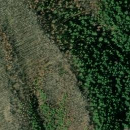 Satellite imagery of Grasshopper Point, US