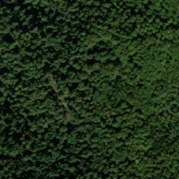 Satellite imagery of Ljut, BA