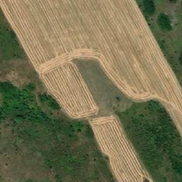 Satellite imagery of TT59, RO