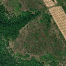 Satellite imagery of TT59, RO