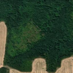 Satellite imagery of TT5004, RO