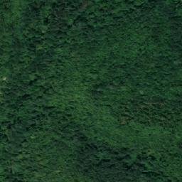 Satellite imagery of TT59, RO