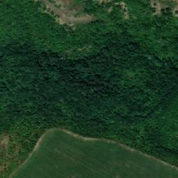 Satellite imagery of TT59, RO