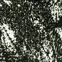 Satellite imagery of Lake Ridge, US