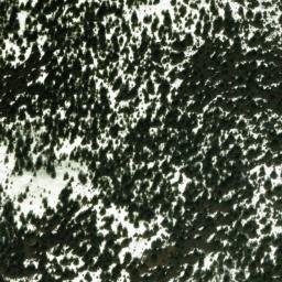 Satellite imagery of Lake Ridge, US