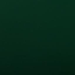 Satellite imagery of TT31/X/, RO