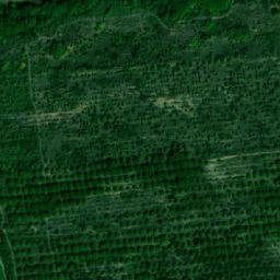 Satellite imagery of TT66, RO