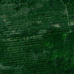 Satellite imagery of TT66, RO