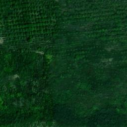 Satellite imagery of TT15/IV/, RO