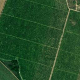 Satellite imagery of TT7764, RO