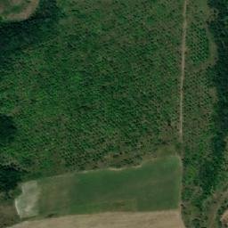 Satellite imagery of TT19, RO