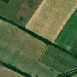 Satellite imagery of TT29, RO