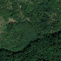 Satellite imagery of Gradska Kosa, RS