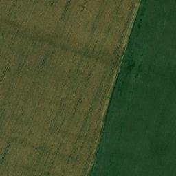 Satellite imagery of TT61, RO