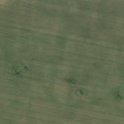 Satellite imagery of TT49, RO