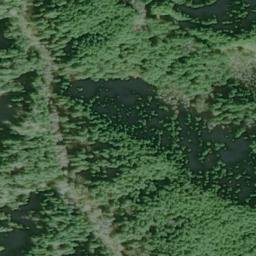 Satellite imagery of Wasson Ridge, US