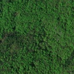 Satellite imagery of Flat Rock, US
