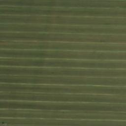 Satellite imagery of TT26/IX/, RO