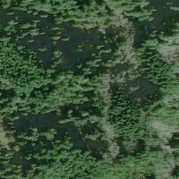 Satellite imagery of Wasson Ridge, US