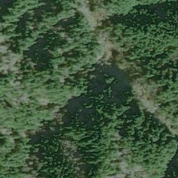 Satellite imagery of Wasson Ridge, US