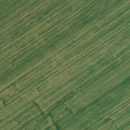 Satellite imagery of TT71, RO