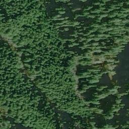 Satellite imagery of Wasson Ridge, US