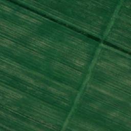 Satellite imagery of TT7749, RO