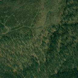 Satellite imagery of Pečurska Kosa, RS