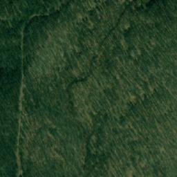 Satellite imagery of Pečurska Kosa, RS