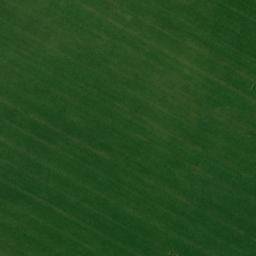 Satellite imagery of TT21, RO