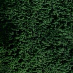 Satellite imagery of Paljike, BA