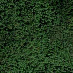 Satellite imagery of Borovo Brdo, BA